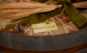B&B Le Coccinelle