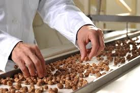 L' ERA DELLA NOCCIOLA