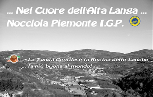 Azienda Agricola LA COSTA d...